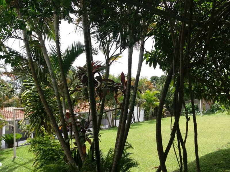 Chácara à venda Centro com 2000m² e 2 quartos por R$ 500.000 - 341712068-fqcy2298.JPG