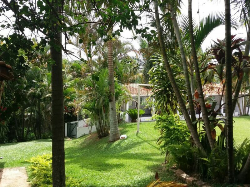 Chácara à venda Centro com 2000m² e 2 quartos por R$ 500.000 - 702432682-iapx4836.JPG