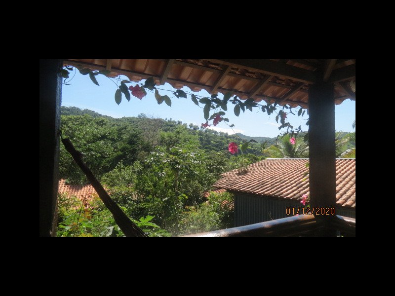 Sítio à venda Vl. Francisco de Moura com 5m² e 6 quartos por R$ 2.200 - 301393079-onze.JPG