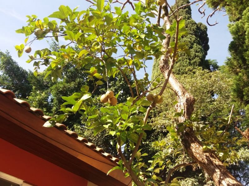 Casa à venda Alto da Lapa com 543m² e 5 quartos por R$ 2.200.000 - 1570971474-whatsapp-image-2019-06-13-at-17.jpeg