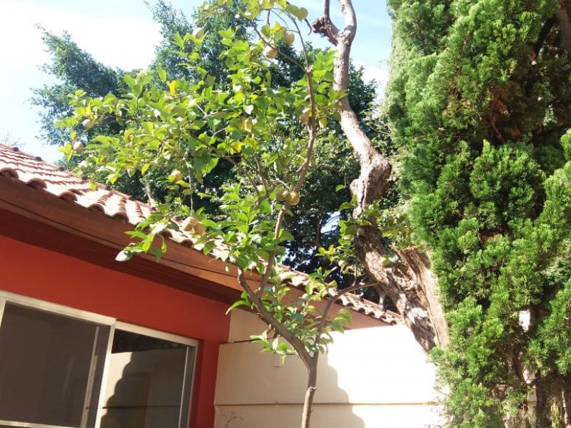 Casa à venda Alto da Lapa com 543m² e 5 quartos por R$ 2.200.000 - 1889903325-whatsapp-image-2019-06-13-at-17.jpeg