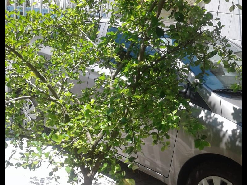 Apartamento à venda Nova Mirim com 120m² e 2 quartos por R$ 227.500 - 1287139263-img-20190928-wa0060.jpg