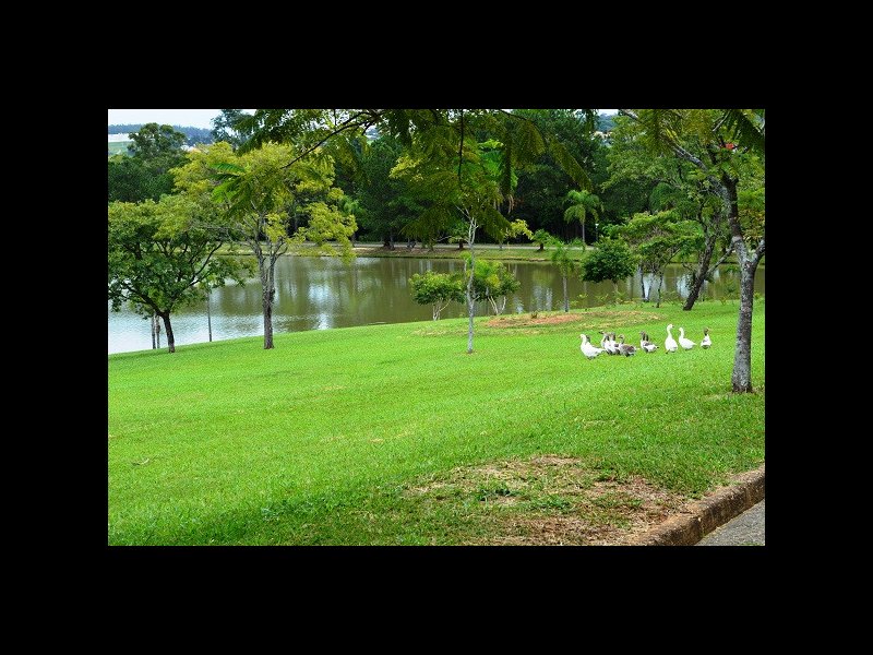 imóvel com 5000m² - Lagos de Shanadu - Indaiatuba