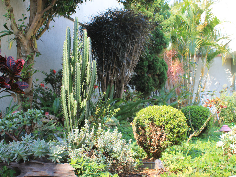 Casa à venda Campestre com 423m² e 3 quartos por R$ 1.400.000 - img-3998.JPG