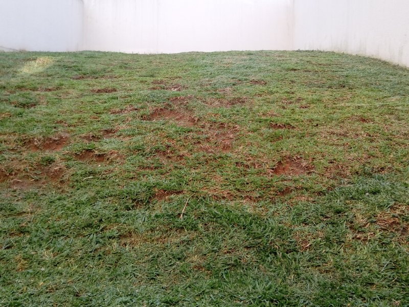 Casa à venda Thomaz Coelho com 124m² e 3 quartos por R$ 258.000 - 1275641692-20170124-185000.jpg