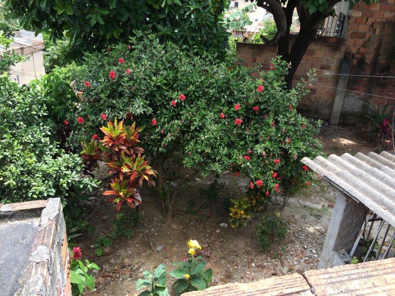 Casa à venda Eliane (Justinópolis) com 400m² e 7 quartos por R$ 450.000 - 1129213660-90ca6780-4f0b-4ec0-b6ab-28a0f17a4b52.jpeg