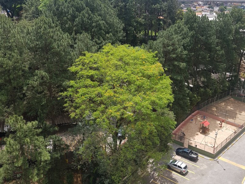 Apartamento à venda Jardim Germânia com 52m² e 2 quartos por R$ 270.000 - 1637066520-98bba05e-58cf-4f95-a2a0-733f9a85453e.jpeg