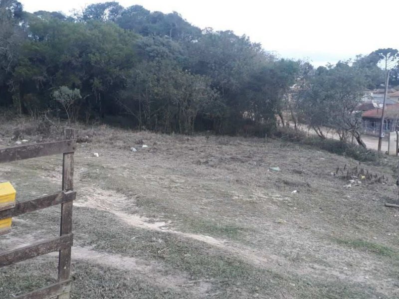 imóvel com 10410m² - Campo de Santana - Curitiba