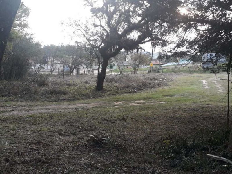 imóvel com 10410m² - Campo de Santana - Curitiba