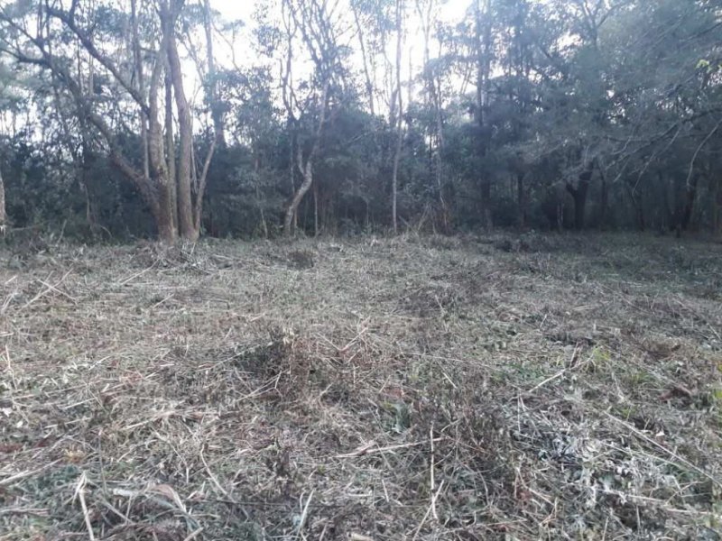 imóvel com 10410m² - Campo de Santana - Curitiba
