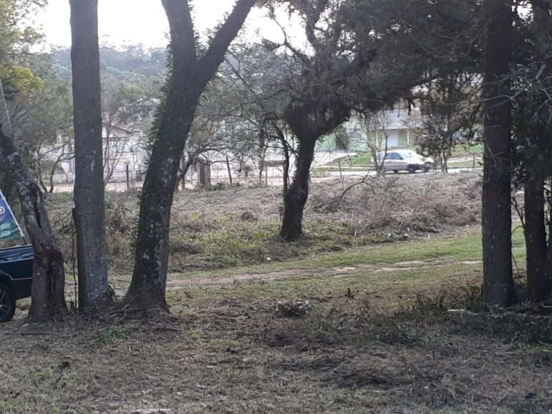 imóvel com 10410m² - Campo de Santana - Curitiba