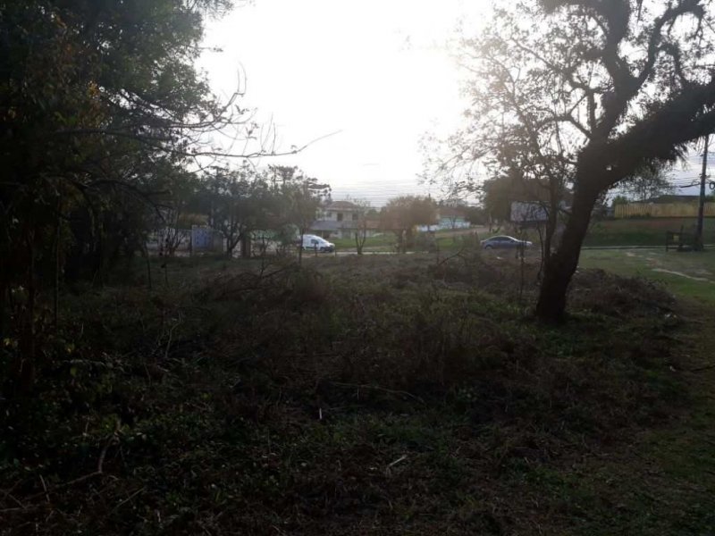imóvel com 10410m² - Campo de Santana - Curitiba