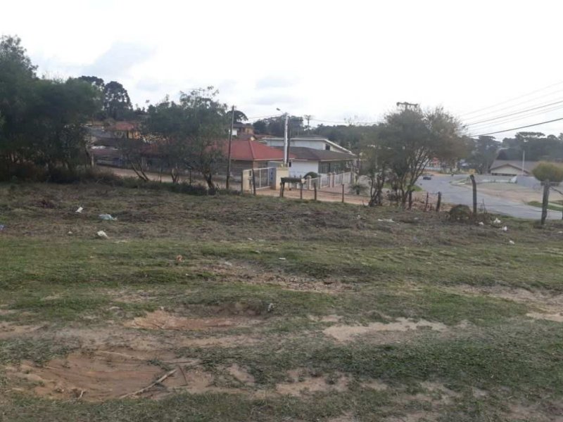 imóvel com 10410m² - Campo de Santana - Curitiba
