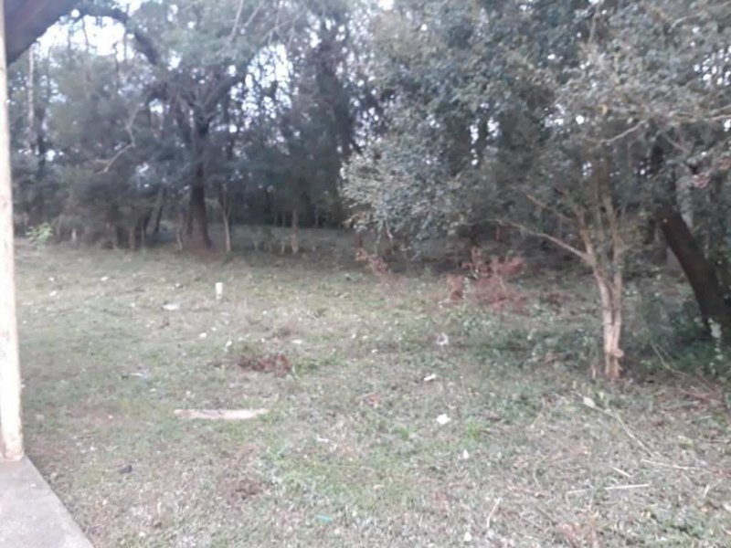 imóvel com 10410m² - Campo de Santana - Curitiba