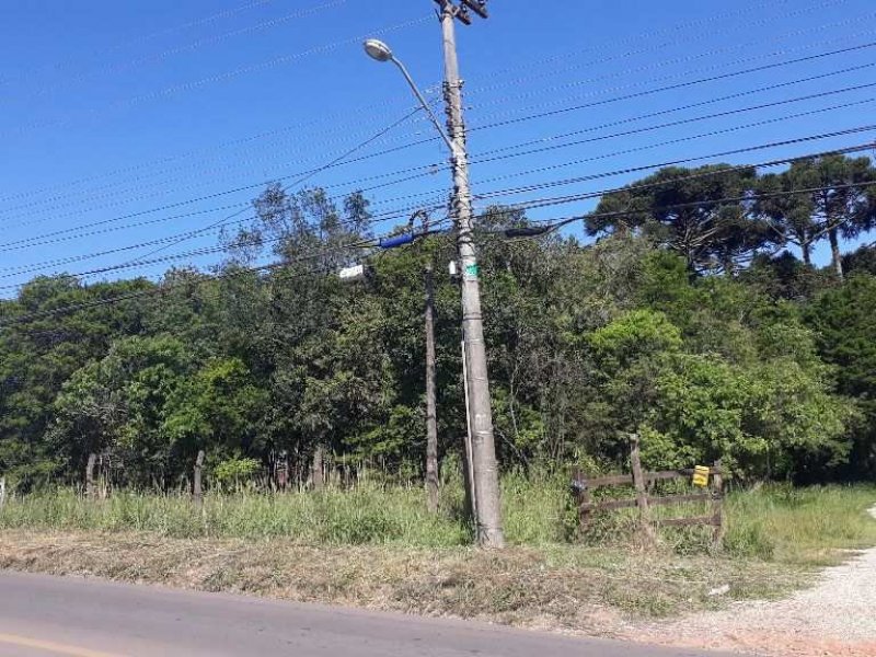 imóvel com 10410m² - Campo de Santana - Curitiba