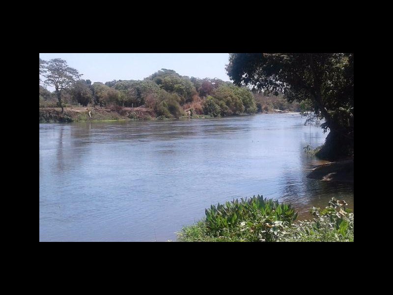 Chácara à venda Jardim Guandu com 10000m² e 6 quartos por R$ 500.000 - 1008502229-664727098505385.jpg