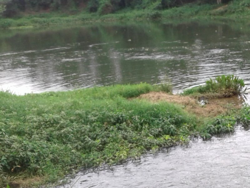 Chácara à venda Jardim Guandu com 10000m² e 6 quartos por R$ 500.000 - 1217651524-20171102-144317.jpg