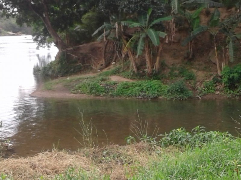 Chácara à venda Jardim Guandu com 10000m² e 6 quartos por R$ 500.000 - 1284819544-20171102-144508.jpg