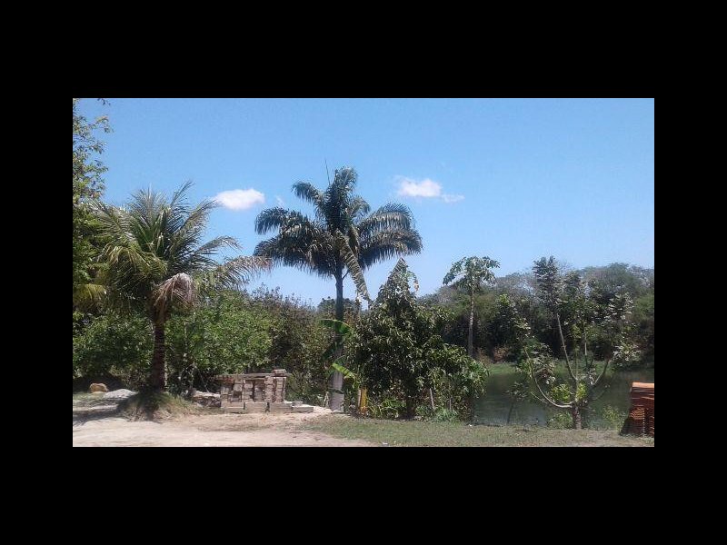 Chácara à venda Jardim Guandu com 10000m² e 6 quartos por R$ 500.000 - 1649504302-666727093955843.jpg