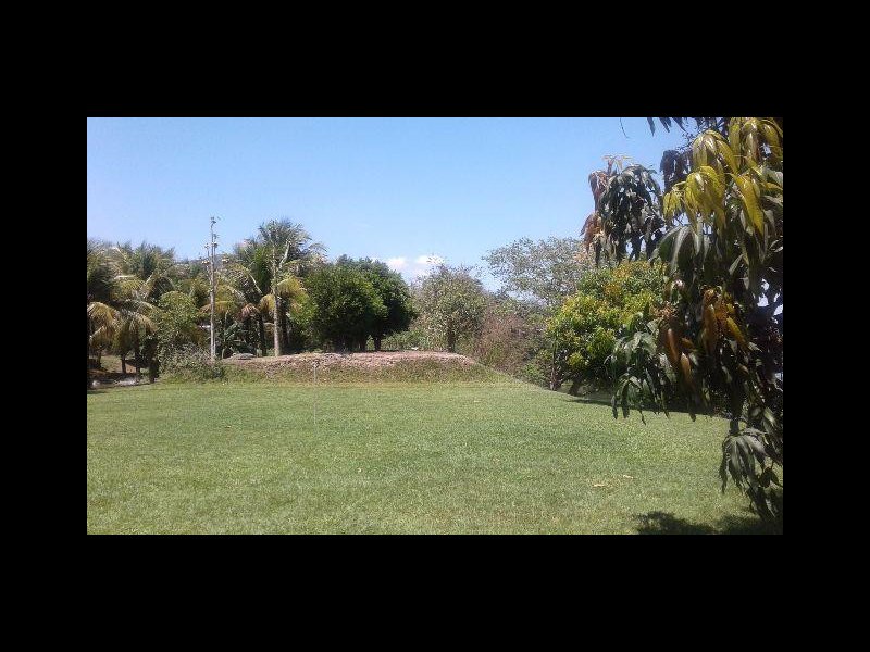 Chácara à venda Jardim Guandu com 10000m² e 6 quartos por R$ 500.000 - 1694444216-669727099315336.jpg