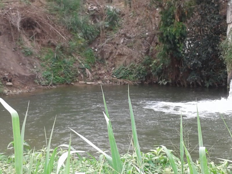 Chácara à venda Jardim Guandu com 10000m² e 6 quartos por R$ 500.000 - 672827767-20171102-144504.jpg