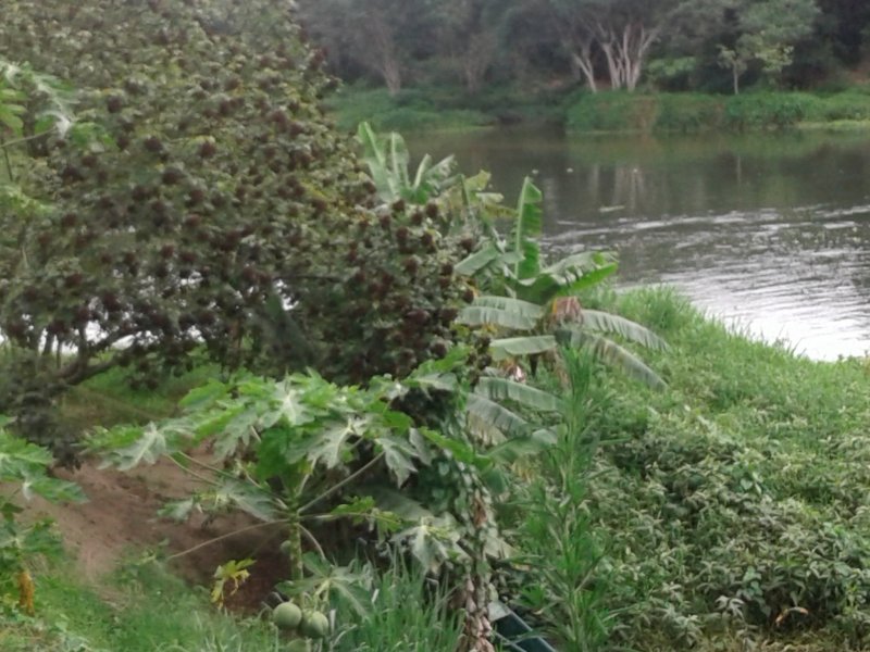 Chácara à venda Jardim Guandu com 10000m² e 6 quartos por R$ 500.000 - 778518835-20171102-144325.jpg