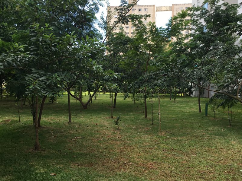 Apartamento à venda Vila Leonor com 62m² e 2 quartos por R$ 360.000 - 1908993702-170166c7-fb8e-4f2f-8657-76178434a3d9.jpeg