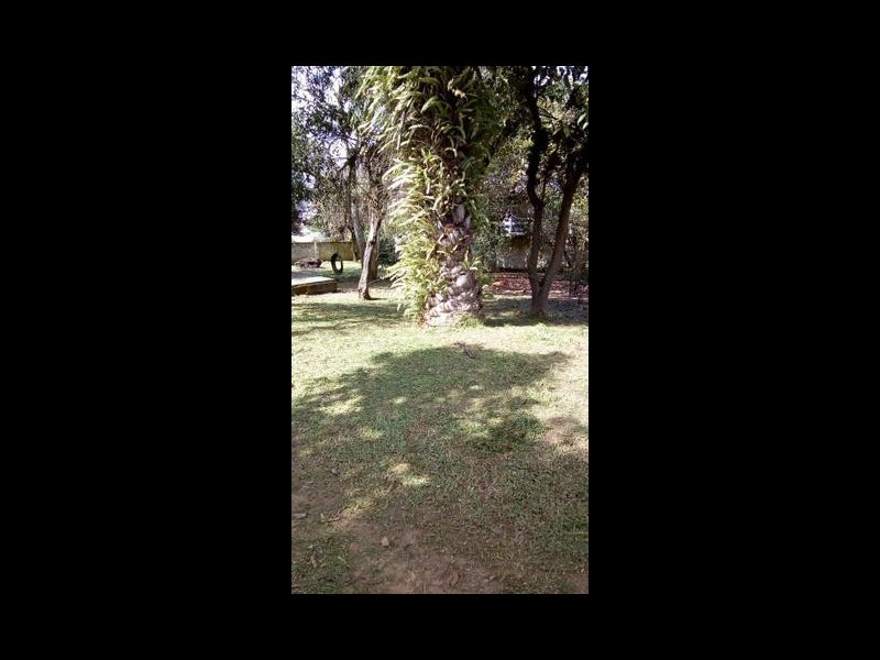 Casa à venda Vila Elsa com 954m² e 4 quartos por R$ 620.000 - 21739987-983006014995129.jpg