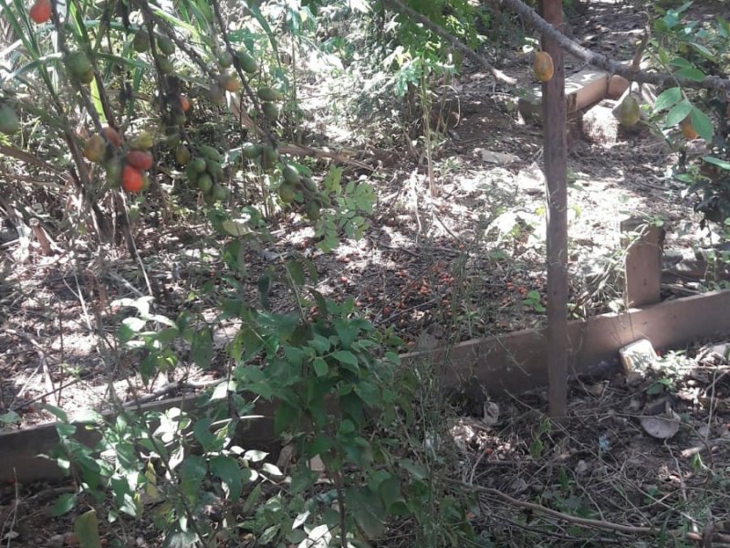 Terreno à venda Centro Empresarial Tamboré com 5m² e  quartos por R$ 150.000 - 1853556023-img-20200225-wa0084.jpg