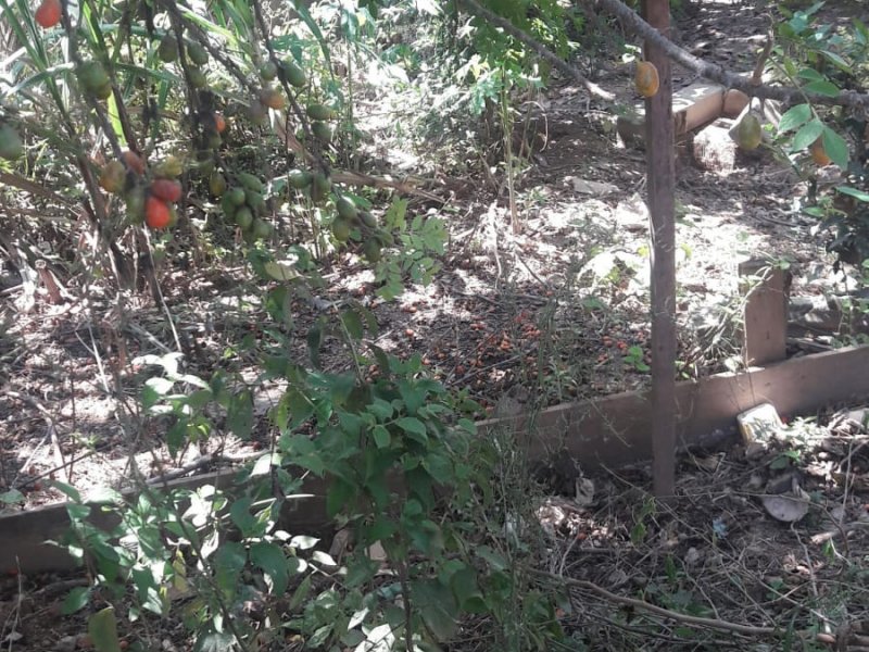 Terreno à venda Centro Empresarial Tamboré com 5m² e  quartos por R$ 150.000 - 1987903475-img-20200225-wa0082.jpg