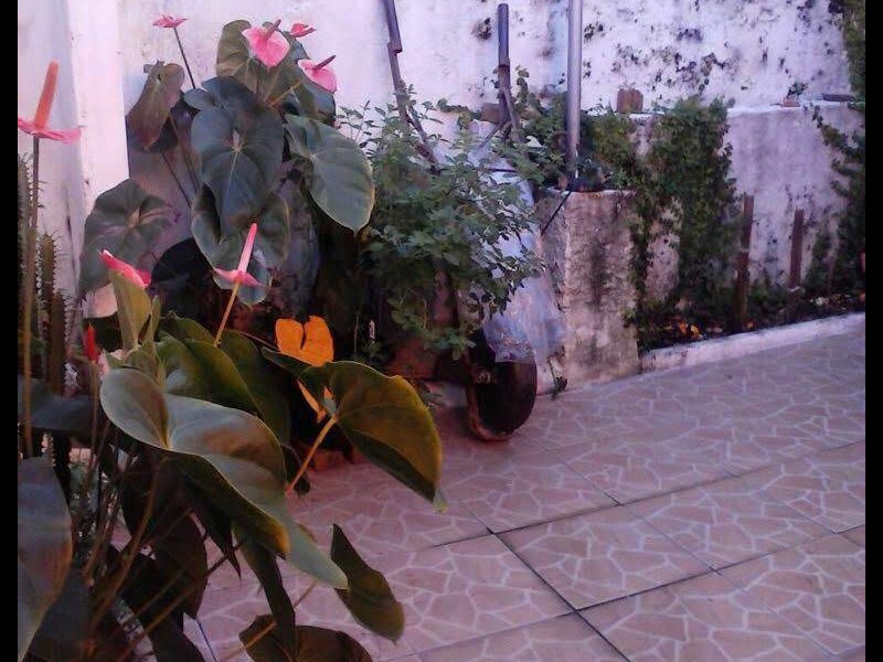 Casa à venda Vila São José com 190m² e 3 quartos por R$ 330.000 - 441787856-a43b643d-86d9-450f-836e-d914c816fa84.jpeg