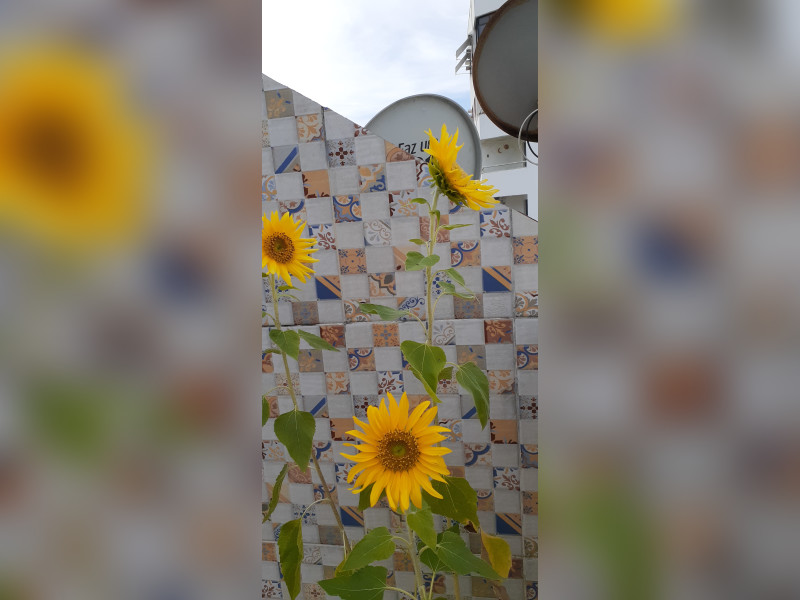 Cobertura à venda Rio Vermelho com 196m² e 3 quartos por R$ 620.000 - 20200405-160704.jpg