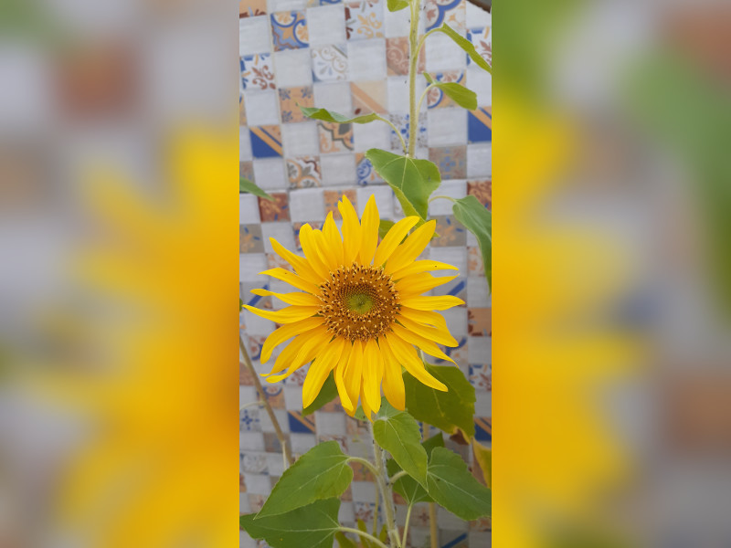 Cobertura à venda Rio Vermelho com 196m² e 3 quartos por R$ 620.000 - 20200405-160710.jpg