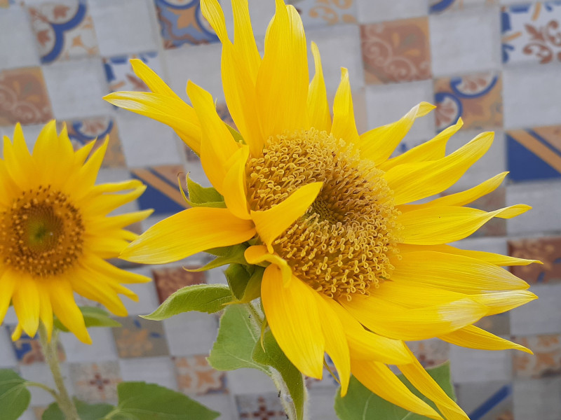 Cobertura à venda Rio Vermelho com 196m² e 3 quartos por R$ 620.000 - 20200405-160721.jpg