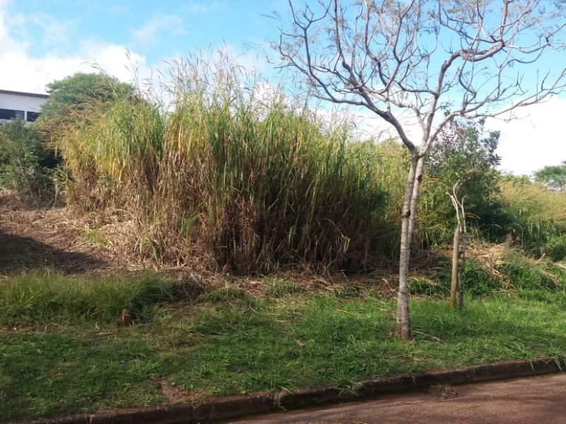 Terreno à venda Condomínio Serra dos Manacás com 1000m² e  quartos por R$ 850.000 - 1963870692-photo-2020-02-18-09-14-15-12.jpg