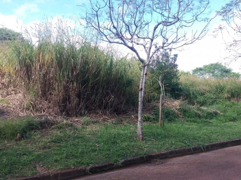 Terreno à venda Condomínio Serra dos Manacás com 1000m² e  quartos por R$ 850.000 - 225357020-photo-2020-02-18-09-14-15-13.jpg