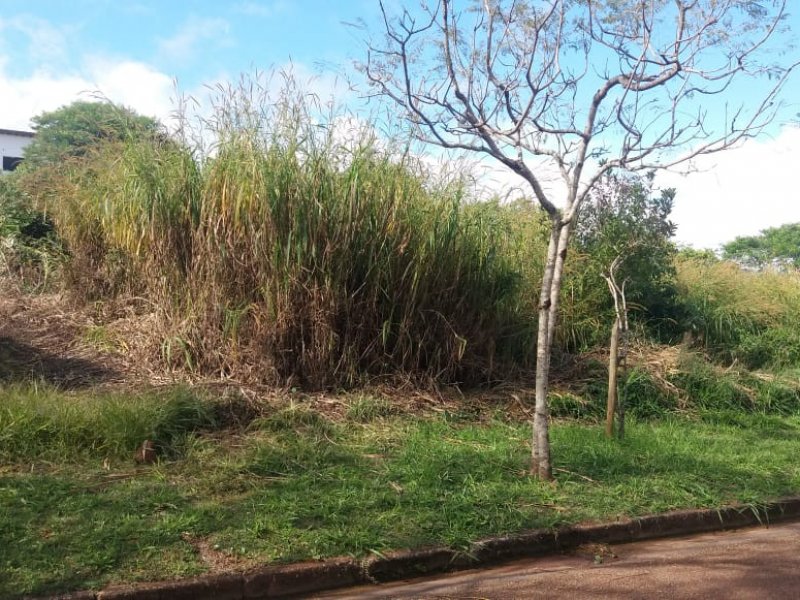 Terreno à venda Condomínio Serra dos Manacás com 1000m² e  quartos por R$ 850.000 - 731405135-photo-2020-02-18-09-14-15-11.jpg