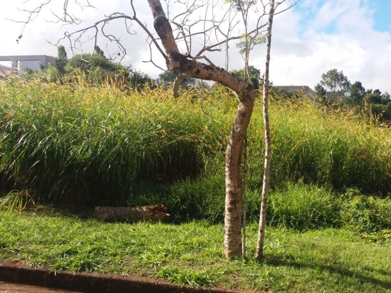 Terreno à venda Condomínio Serra dos Manacás com 1000m² e  quartos por R$ 850.000 - 838501987-photo-2020-02-18-09-14-15-8.jpg