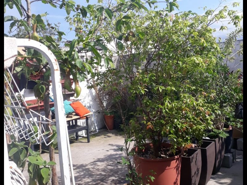 Casa de condomínio à venda Caminho Novo com 60m² e 3 quartos por R$ 170.000 - 1000264080-img-20200228-wa0004.jpg