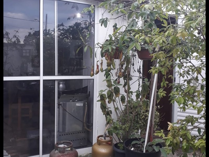 Casa de condomínio à venda Caminho Novo com 60m² e 3 quartos por R$ 170.000 - 781527362-img-20200228-wa0012.jpg