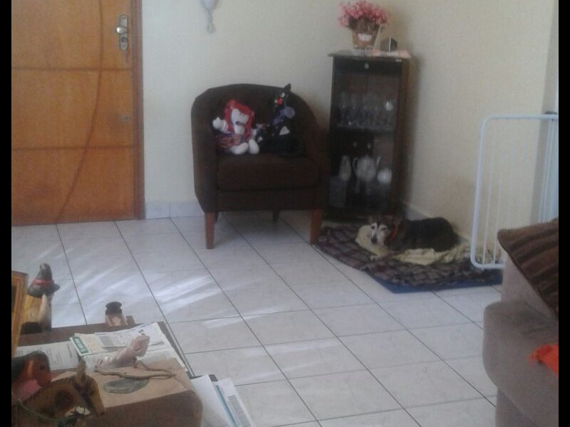 Apartamento à venda Parque bitaru com 46m² e 1 quarto por R$ 1.000 - 437735854-foto6.jpg