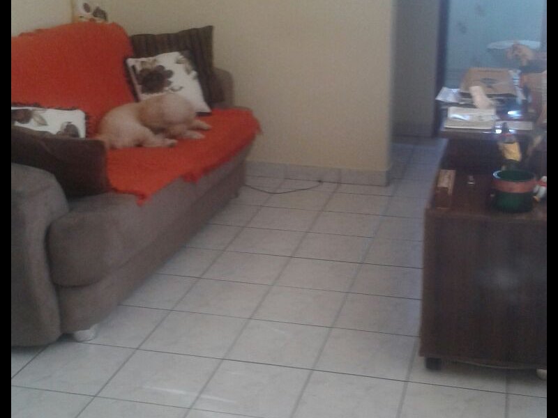 Apartamento à venda Parque bitaru com 46m² e 1 quarto por R$ 1.000 - 789708654-foto2.jpg