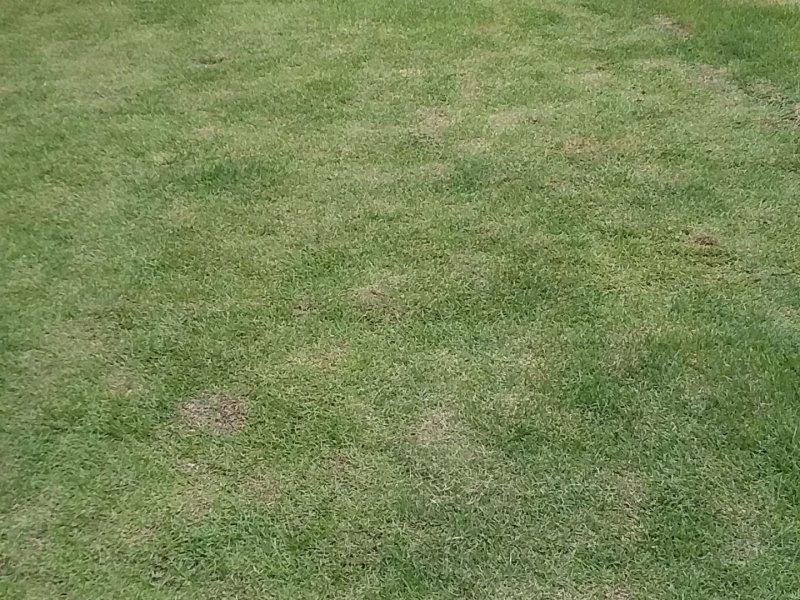 Casa à venda Centro com 500m² e 2 quartos por R$ 300 - 1965523798-inbound9179828945423017575.jpg