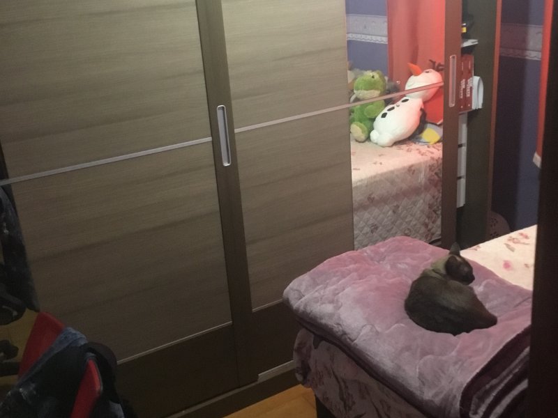 Apartamento à venda Floradas de São José com 147m² e 2 quartos por R$ 200.000 - 546944605-fcbdecee-0c01-4a1e-8ab0-72ba8e862423.jpeg