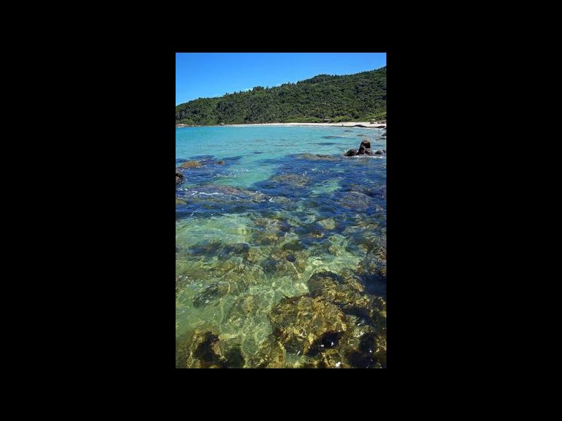 Apartamento à venda Kobrasol com 83m² e 2 quartos por R$ 380.000 - 1429843497-governador.jpg