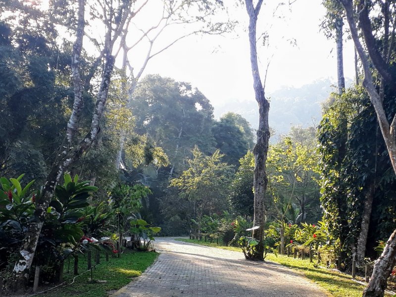 Terreno à venda Centro (Paraty) com 500m² e  quartos por R$ 250.000 - 1317021910-sem-titulo.jpg