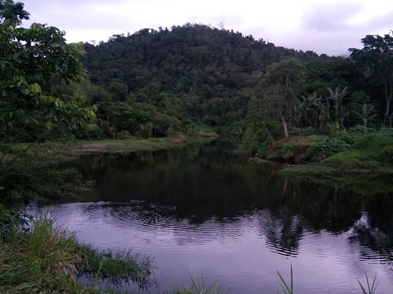Terreno à venda Centro (Paraty) com 500m² e  quartos por R$ 250.000 - 1552892737-dsc-0268.JPG