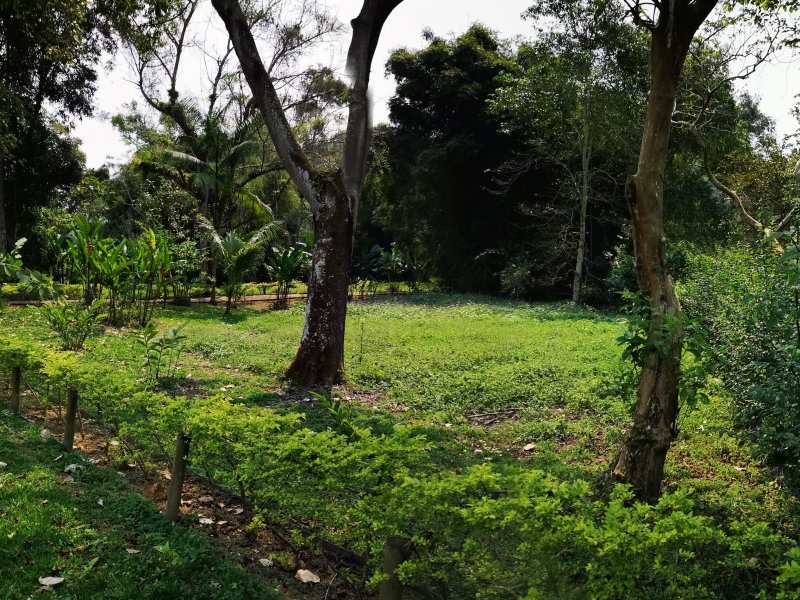 Terreno à venda Centro (Paraty) com 500m² e  quartos por R$ 250.000 - 309461152-img-20190920-125259.jpg