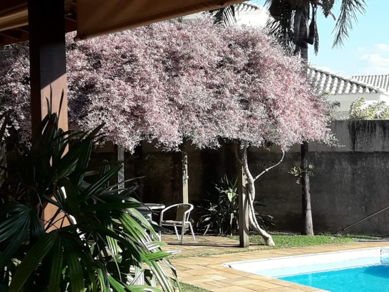 Chácara à venda Agreste com 2000m² e 2 quartos por R$ 1.500.000 - img-20200217-wa0030.jpg