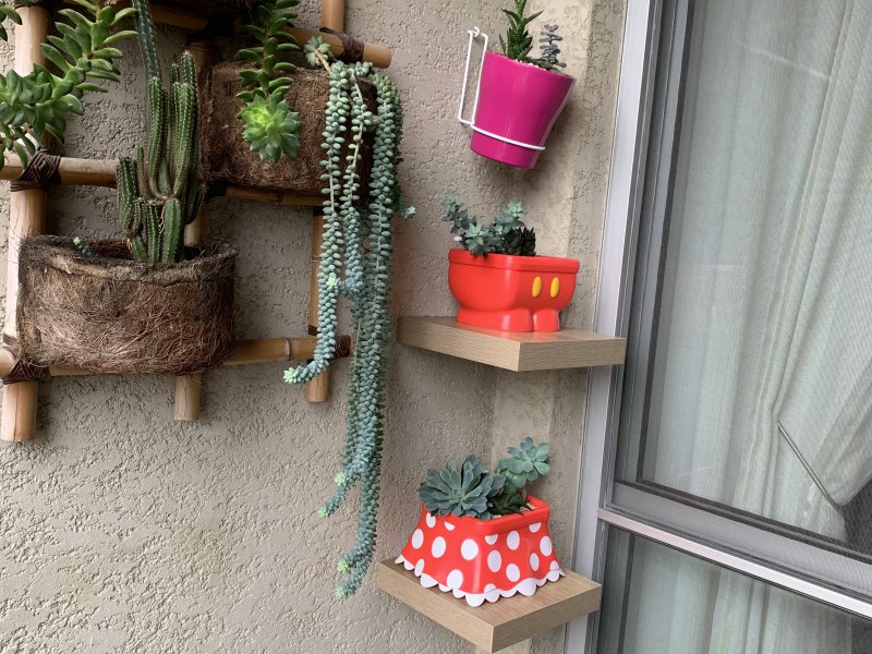 Apartamento à venda São João Clímaco com 64m² e 3 quartos por R$ 310.000 - 1612984473-92c9bcd9-62f6-44f1-95fc-feed510415ae.jpeg